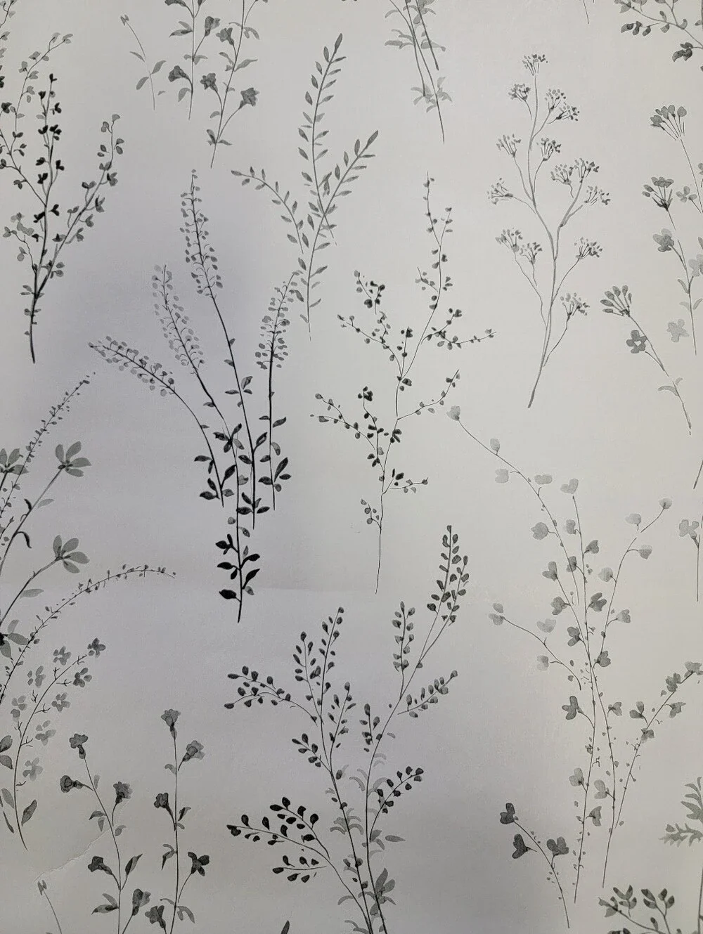 Wallpaper Farmhouse Wildflower Sprigs Black & White